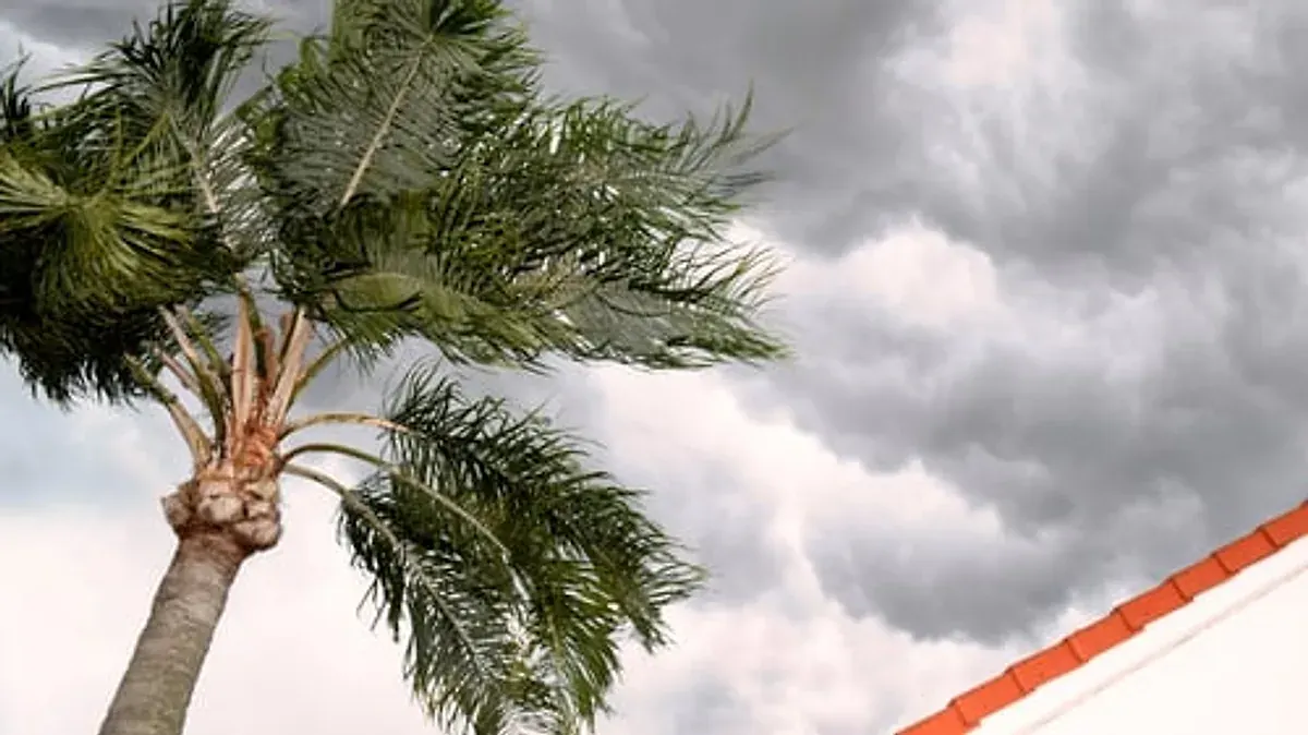 Storm winds bending trees during severe weather that causes emergency roof damage